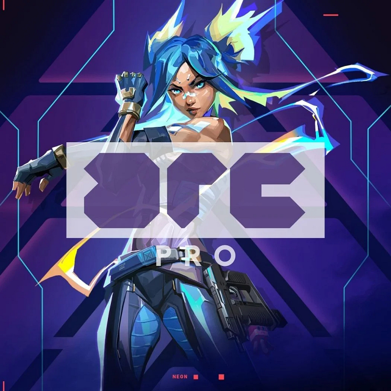 Arc Pro: Valorant
